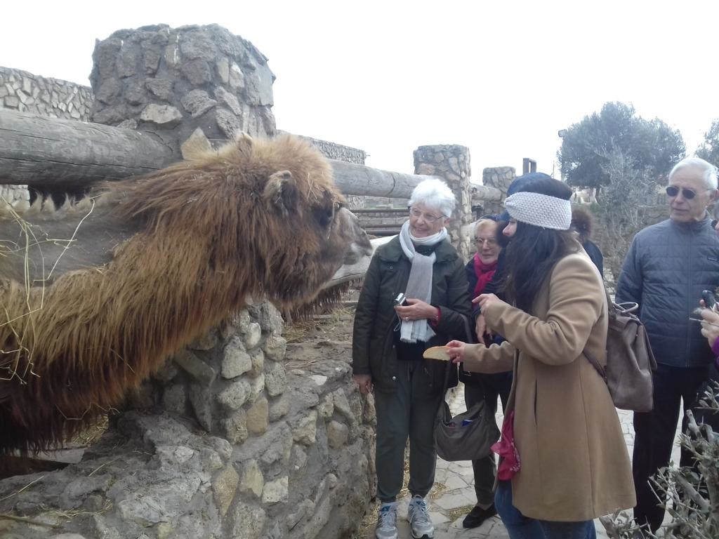 web13_Qala (28)